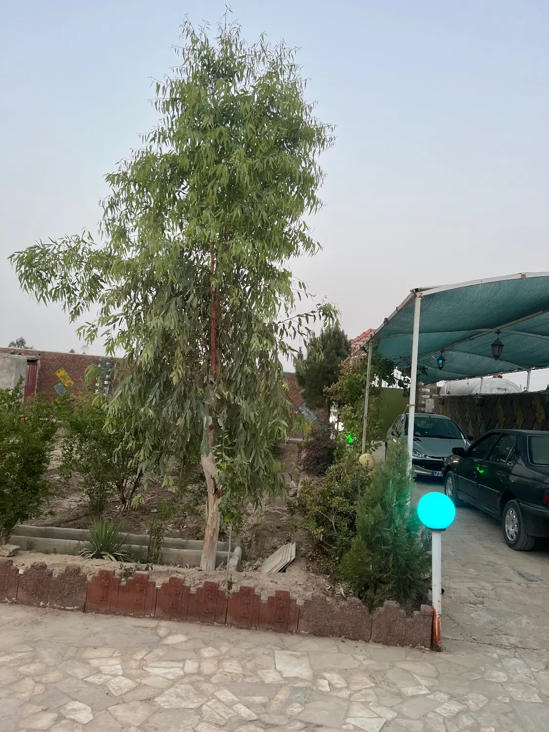 فروش باغ مبله