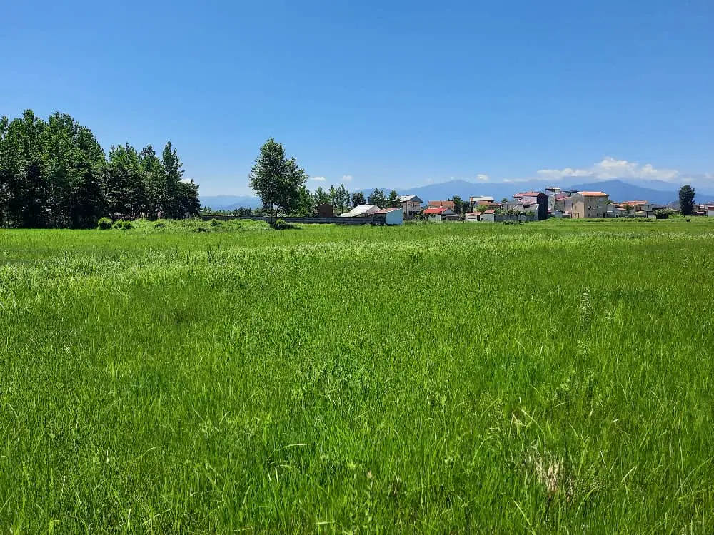 زمین کشاورزی ۷۷۷۰ متر رشت بلسبنه