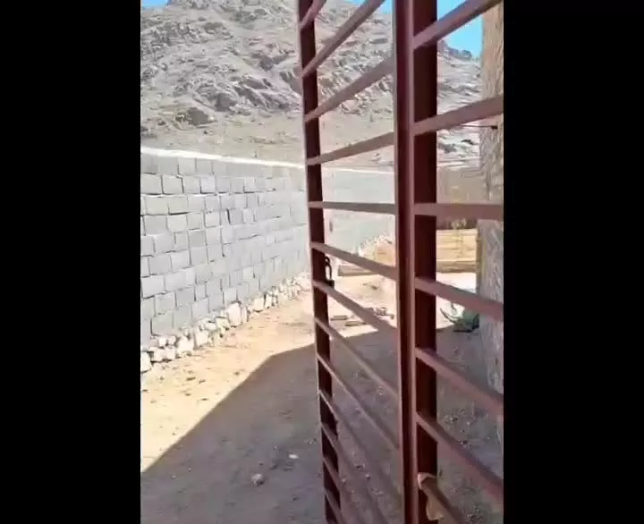 باغ نیمه ساز سانیچ