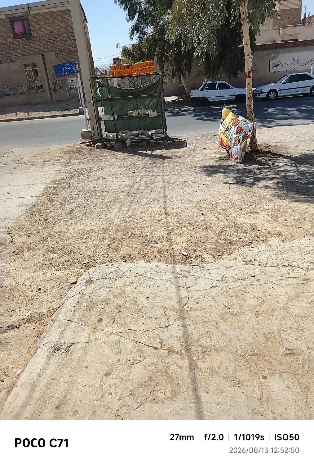 مغازه مرغ فروشی