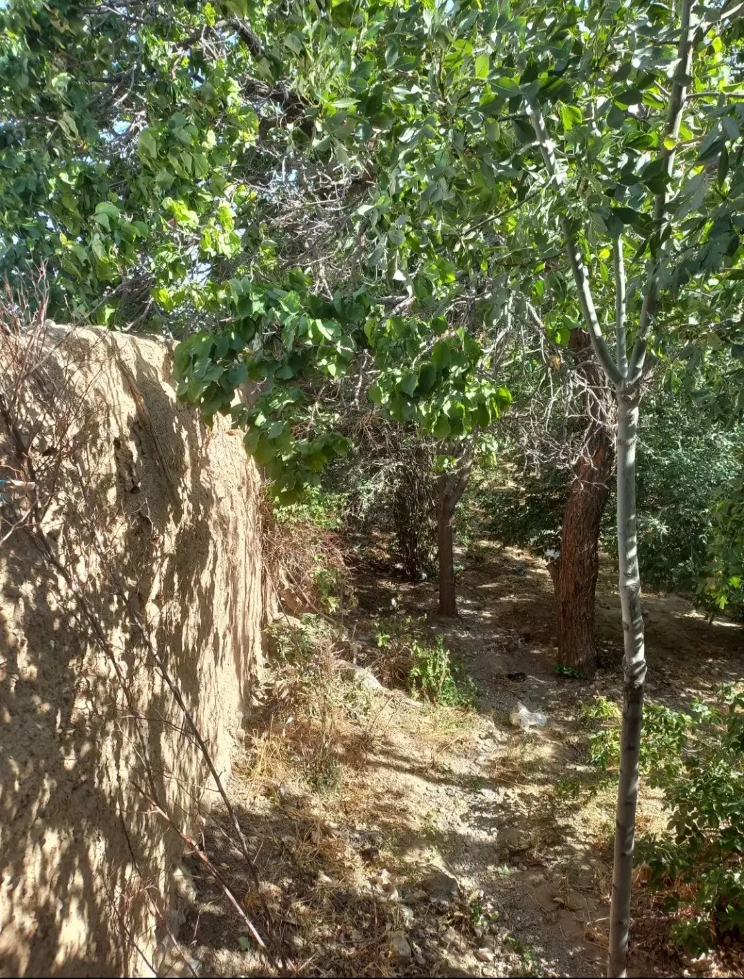 خانه باغ در  اسفرجان
