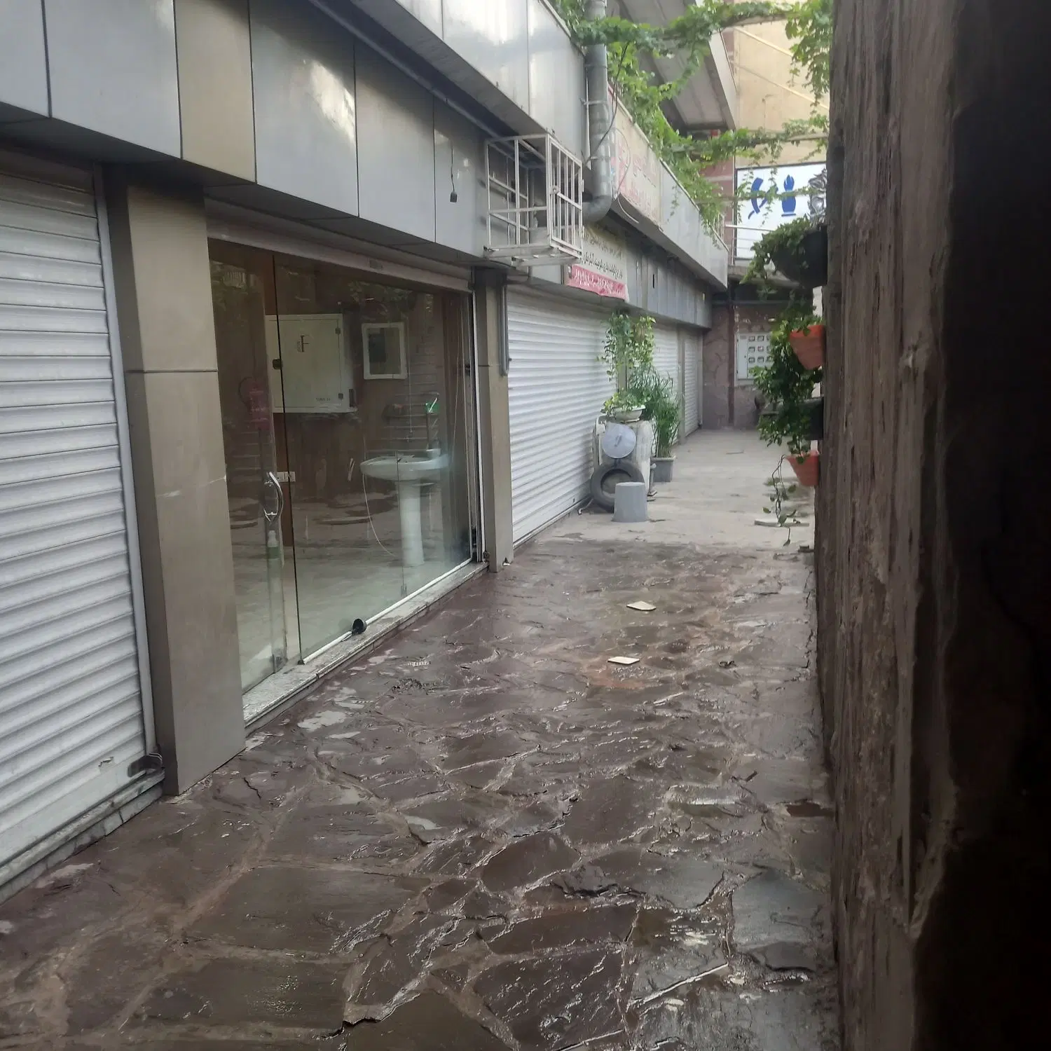 مغازه ۳۱متر سند تگ برگی
