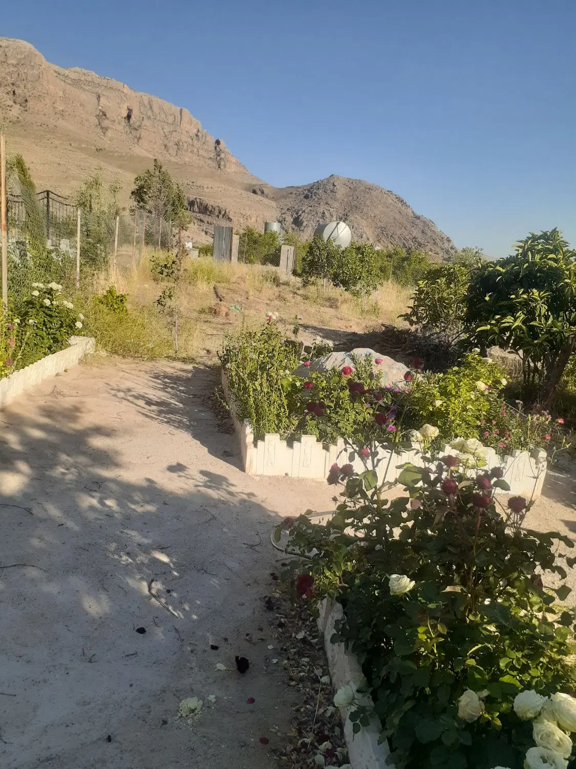 باغ ویلا