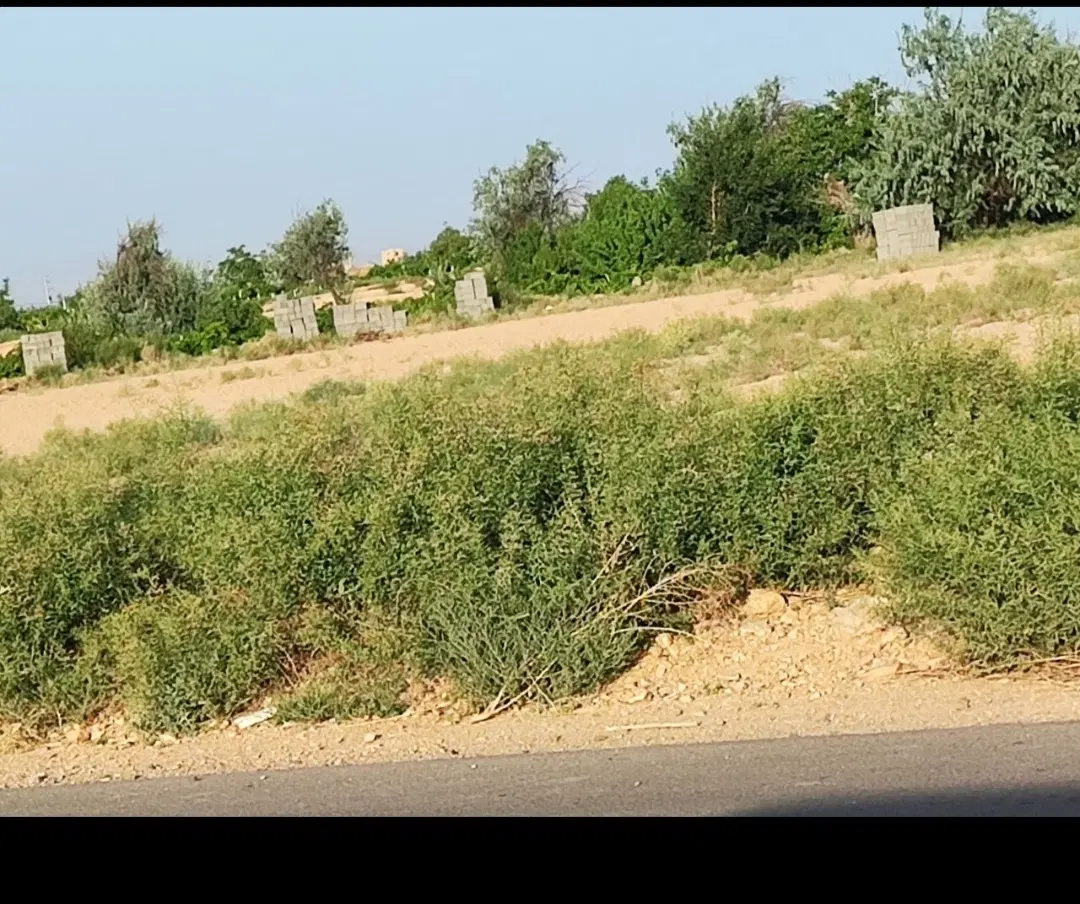 زمین کشاورزی دارای سند