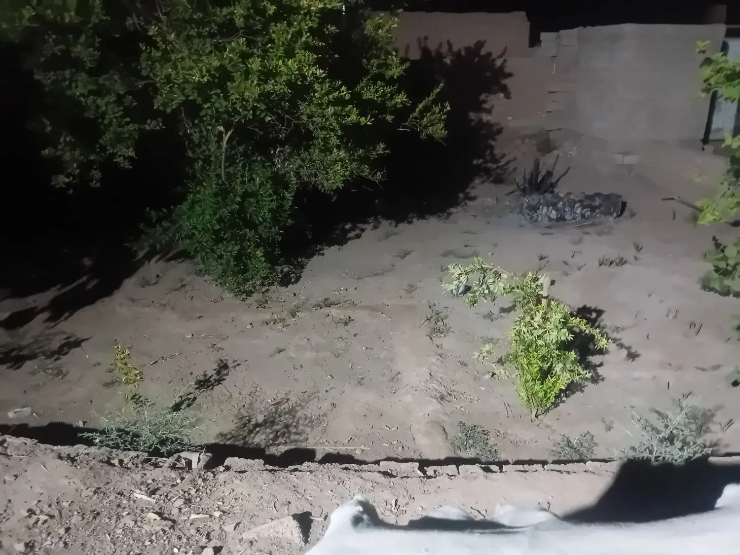 سلام دوستان یک قطعه زمین بفروش میرسد