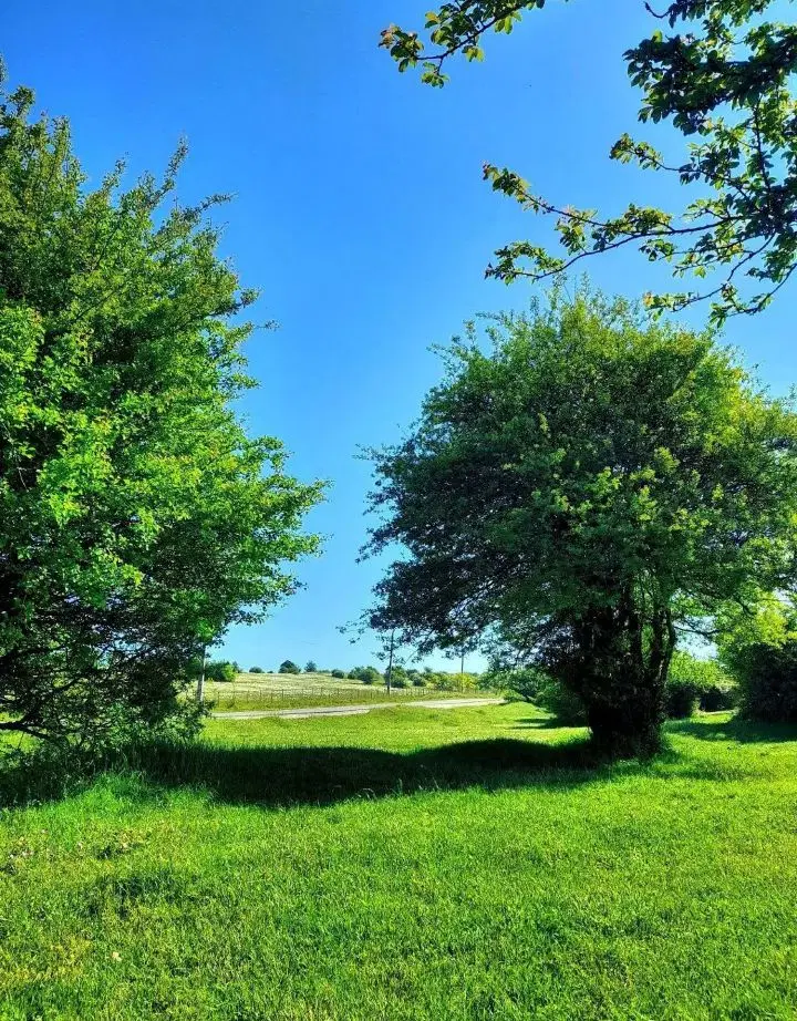زمین کشاورزی