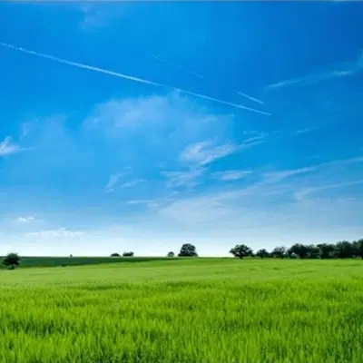 فروش زمین
