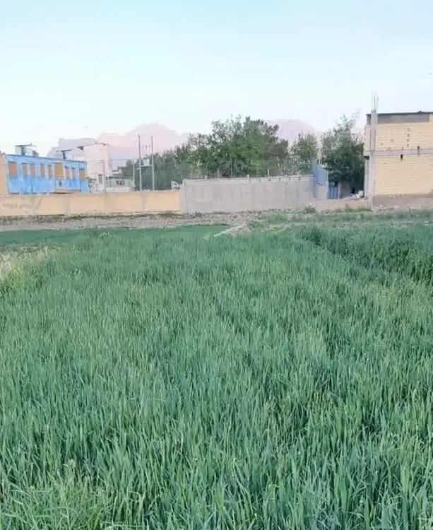 زمین فروشی