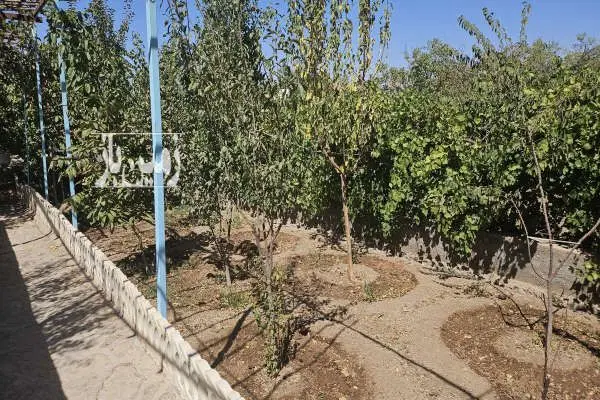 باغ فروشی در وشنوه