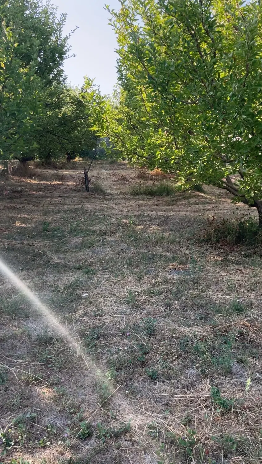 باغچه جاده سنتو ۶ کیلومتری زیر قیمت