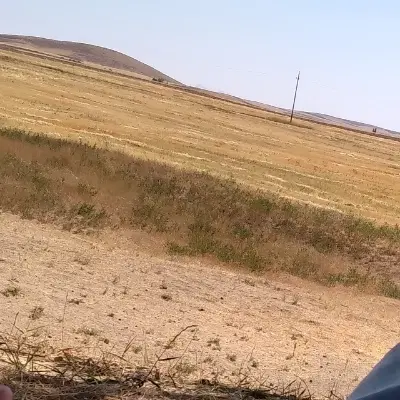جورقان کوی آهوان