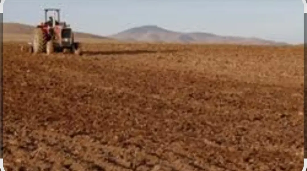 فروش زمین دیم درتلکی