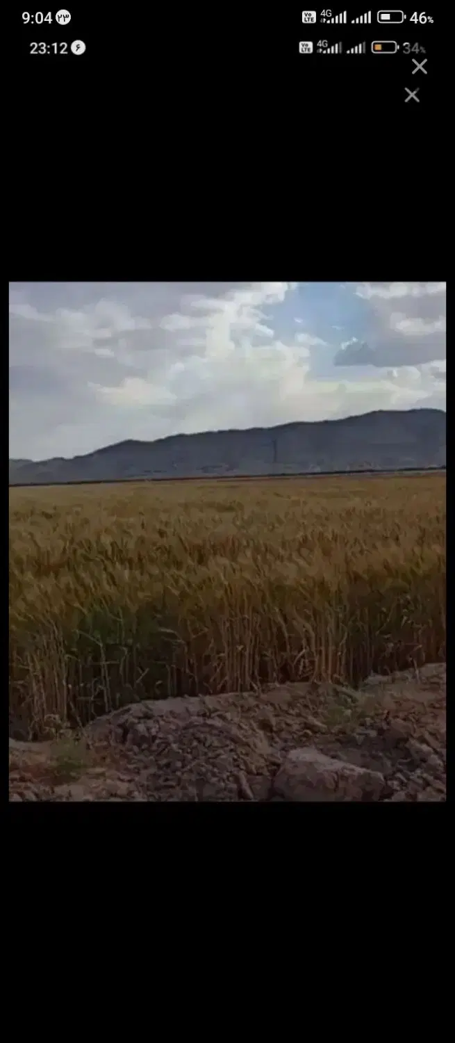 زمین زراعتی و کشاورزی و باغ در قم
