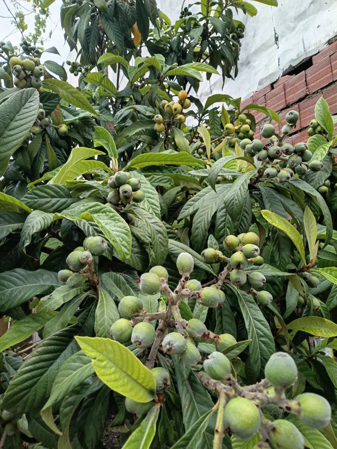 منزل ویلای مسکونی روستای توریستی اق قیمش فروشی