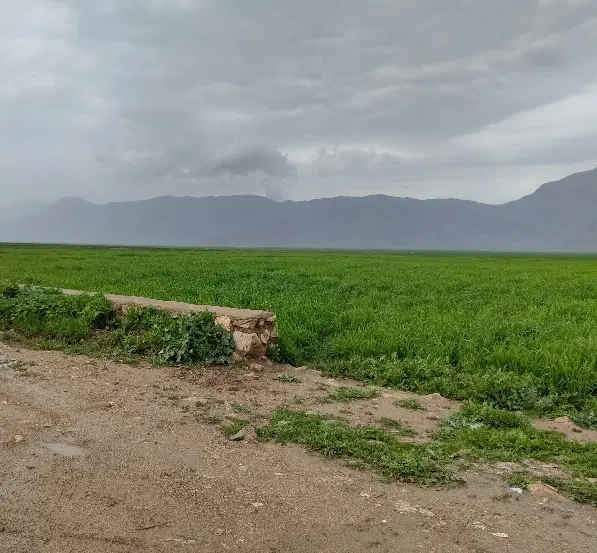 ۵۶۰۰ متر زمین ایذه بعد از مسکن مهر