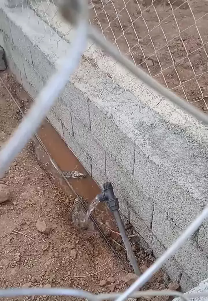 باغچه