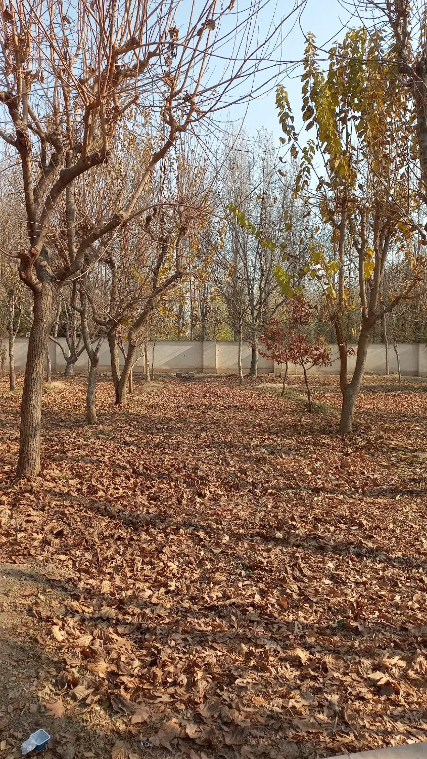 زمین کاربری باغ وباغچه
