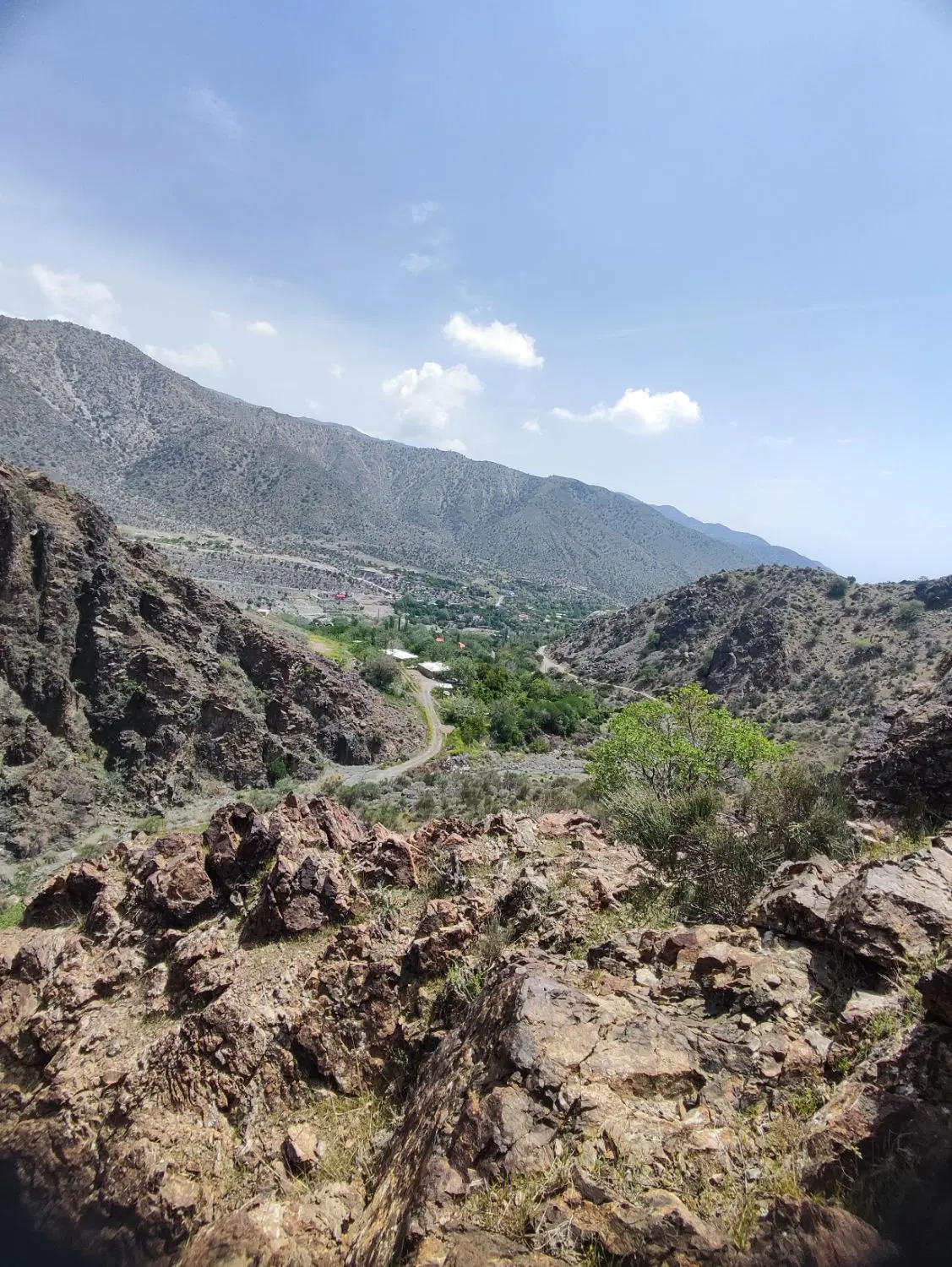 فروش زمین در دلفارد باغمیر