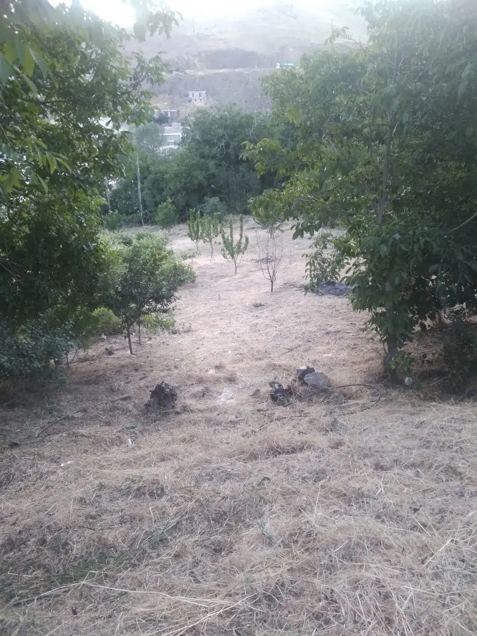 فروش زمین کشاورزی