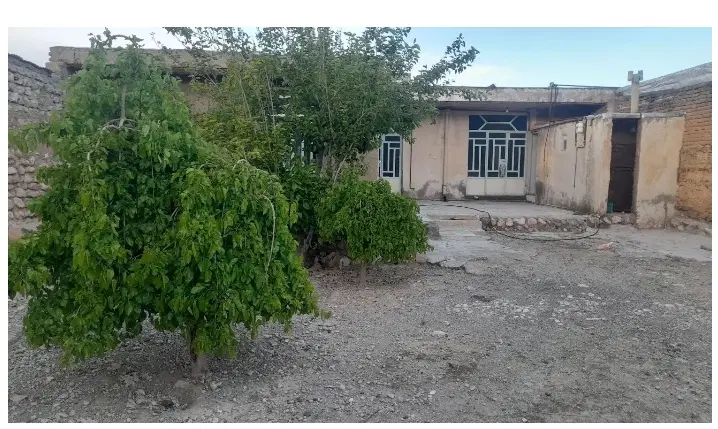 خانه سالی بزرگ