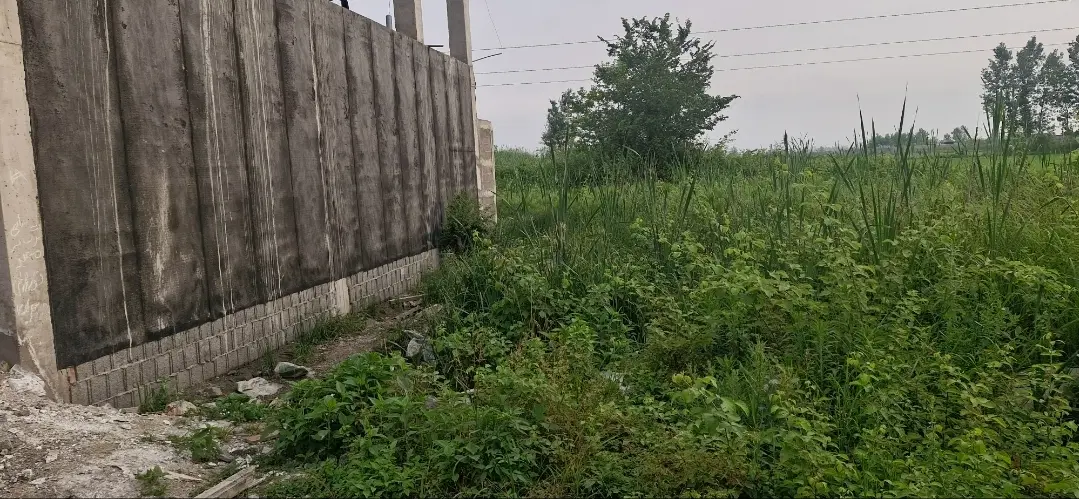زمین مسکونی علمک دار