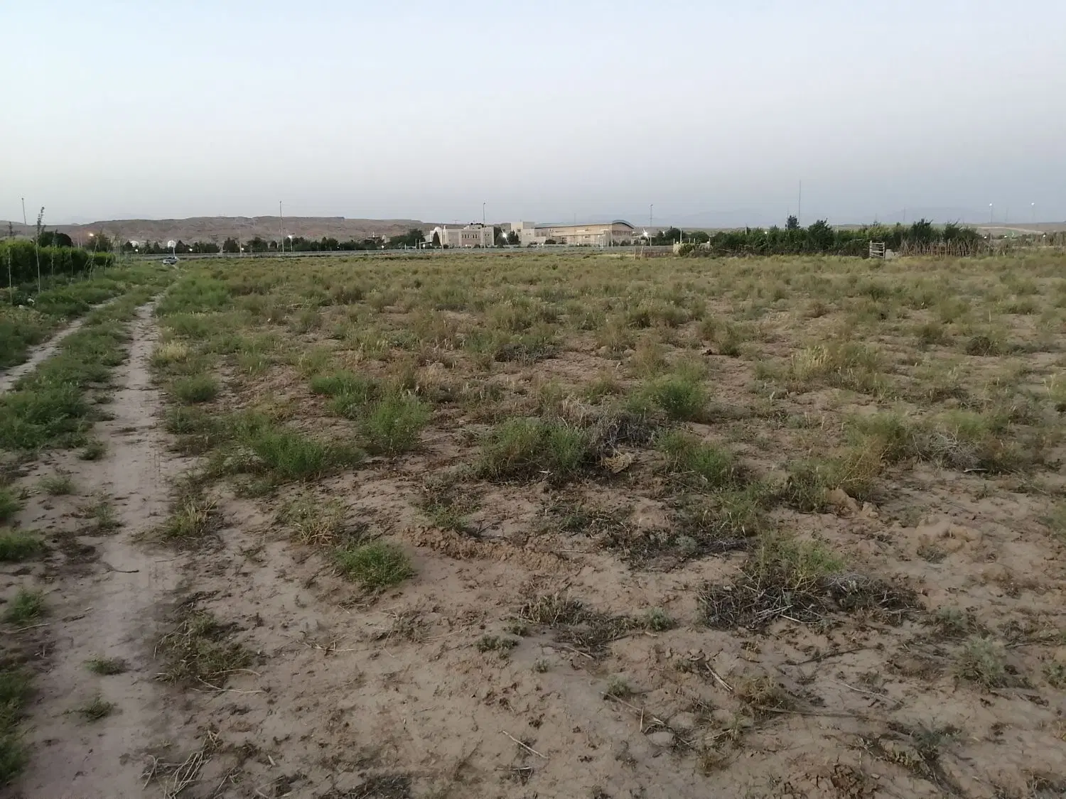 فروش زمین کشاورزی در پیشک ۳