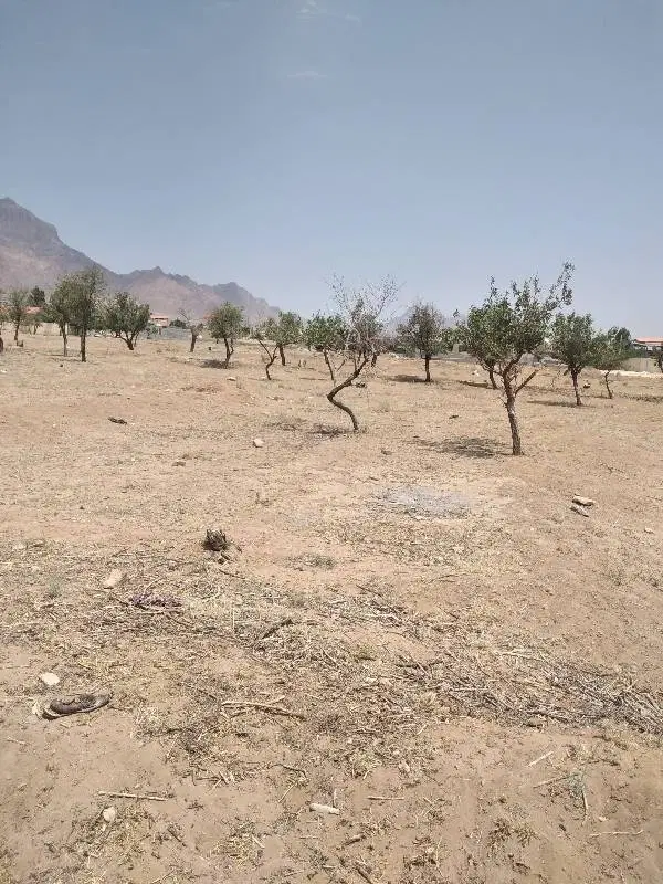 ۳۰۰ متر زمین باغی قابل ساخت حسین آباد تنگ چنار