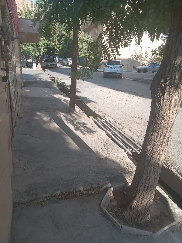 فروش زمین ۲۵۰ متری شاپوری