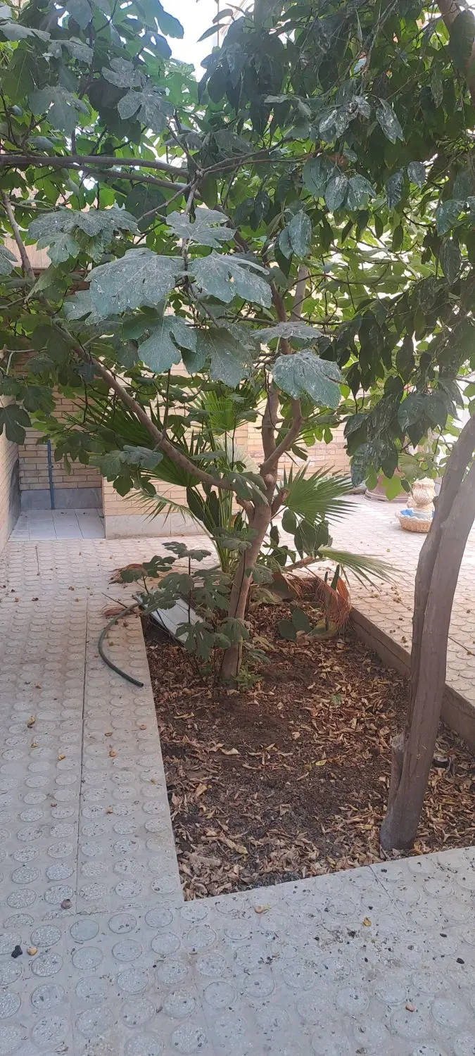 خانه اجاره ای