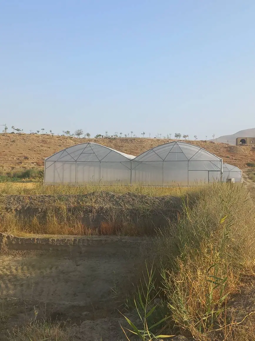 فروش گلخانه