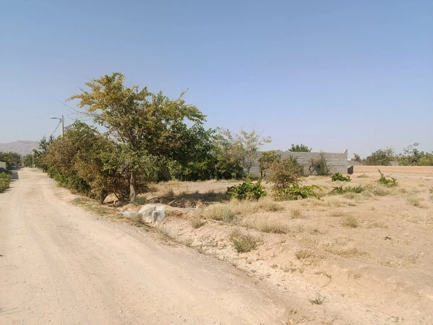زمین آینده دار.