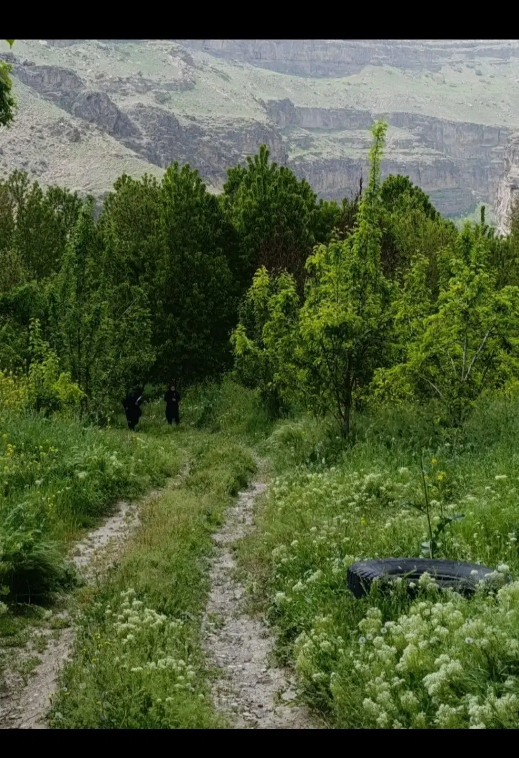 زمین حاشیه