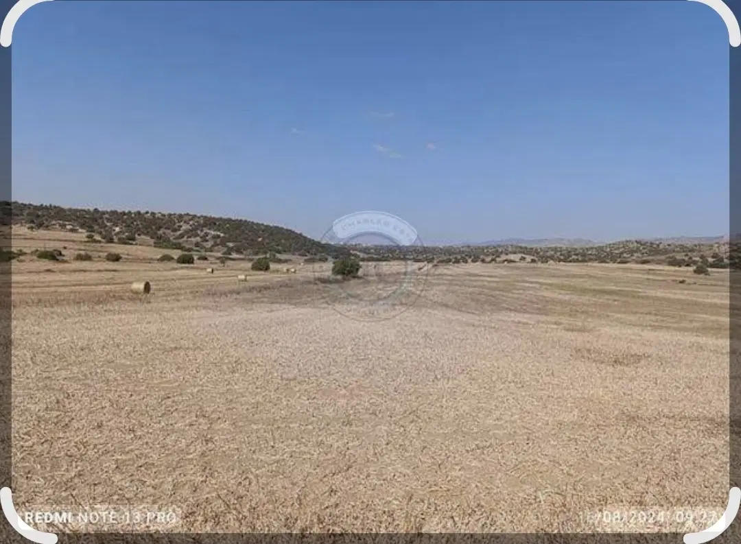 زمین در هماشهر فاز۷ دولت آباد