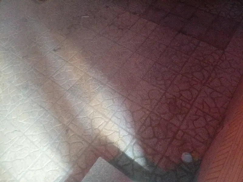 باغ