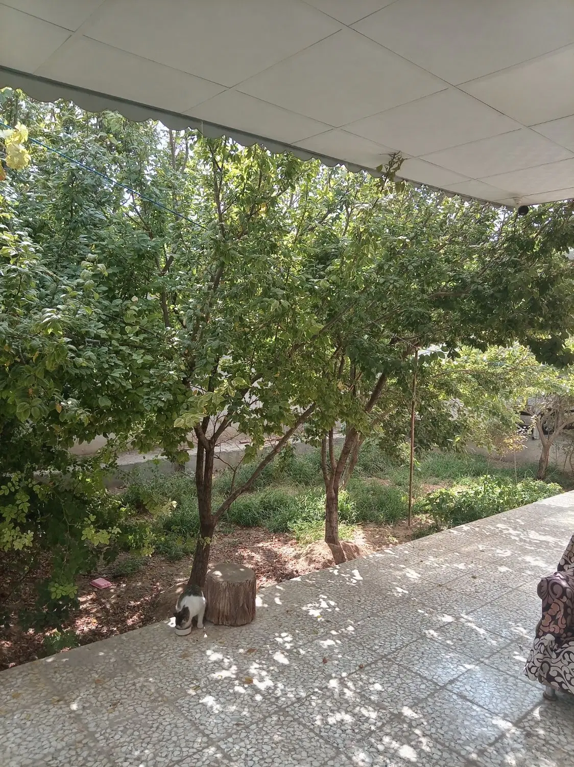 خونه باغ