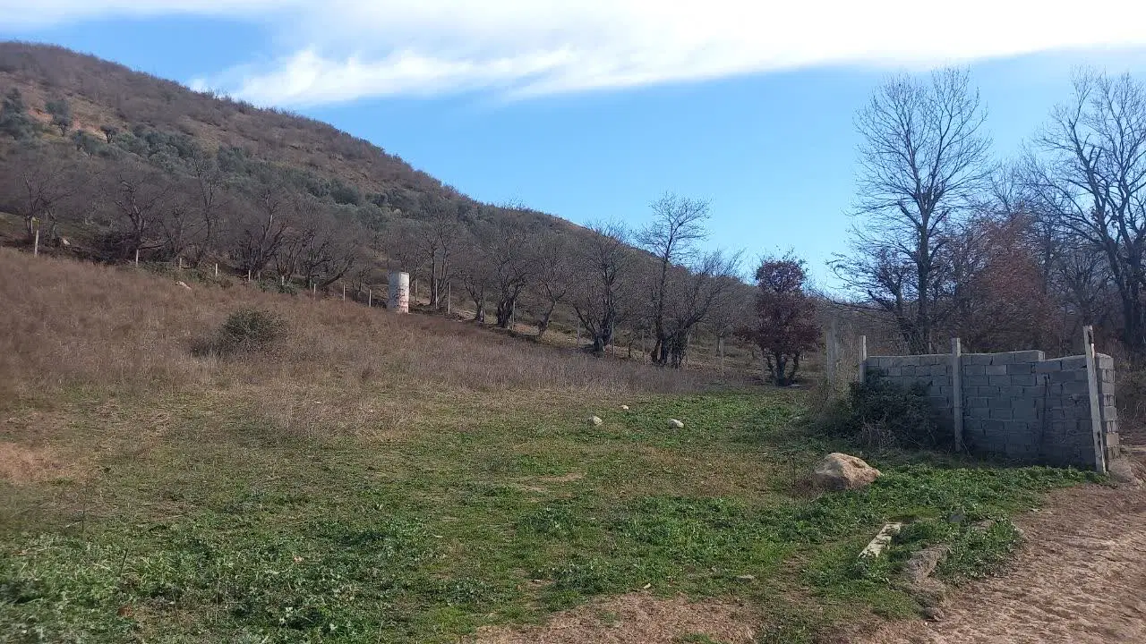زمین فروشی