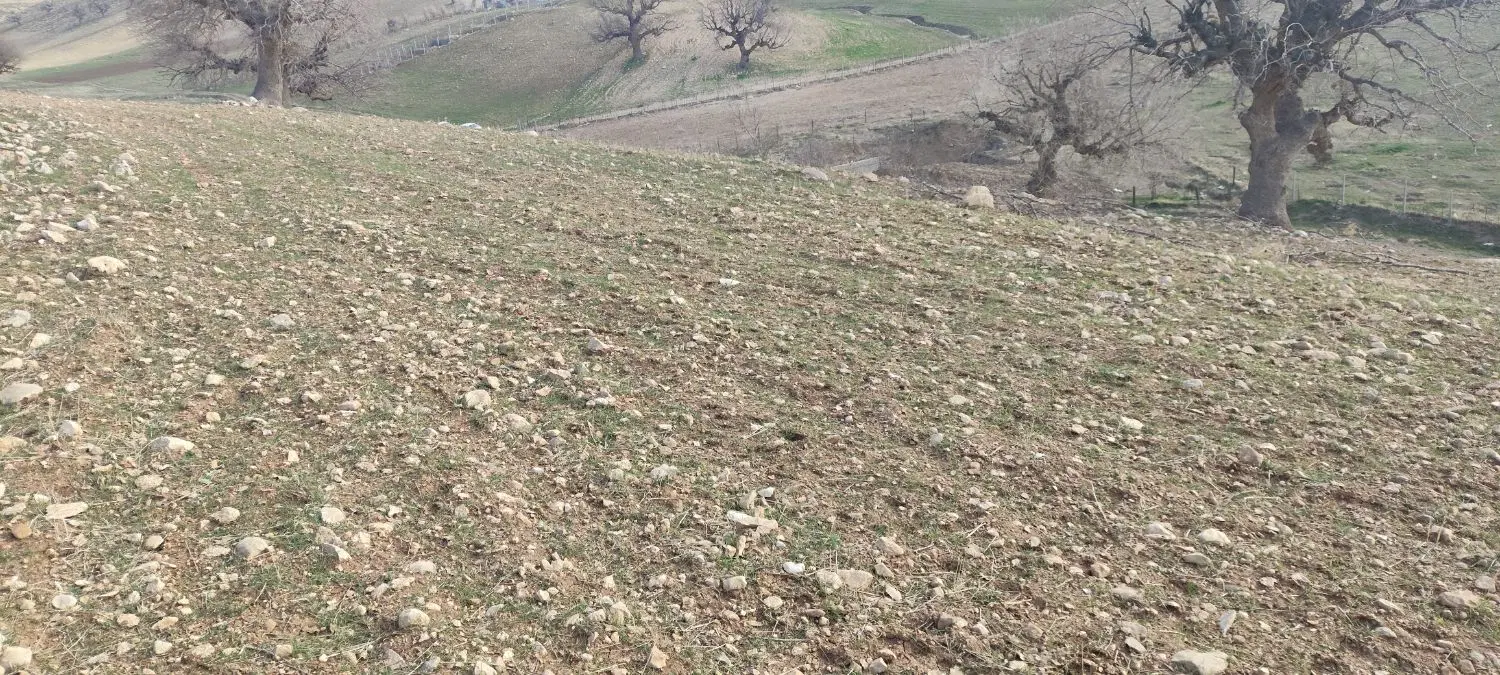 زمین خانه باغ
