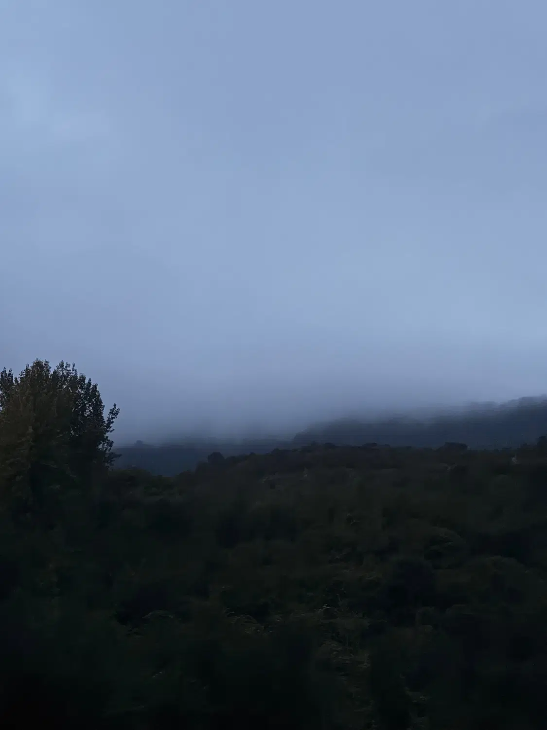 زمین روستای گشویی منطقه محسنی