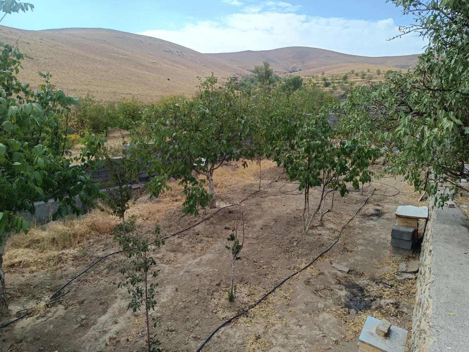باغ حیدره بالاشهر