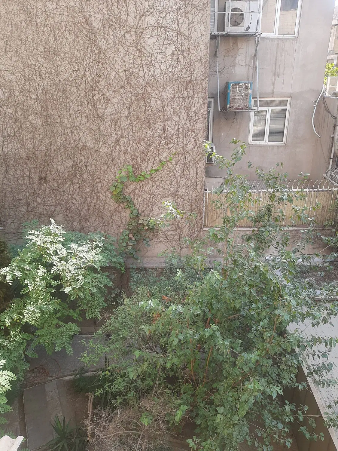 ۱۷۵ متر سند اداری کریم خان فرعی تک واحدی