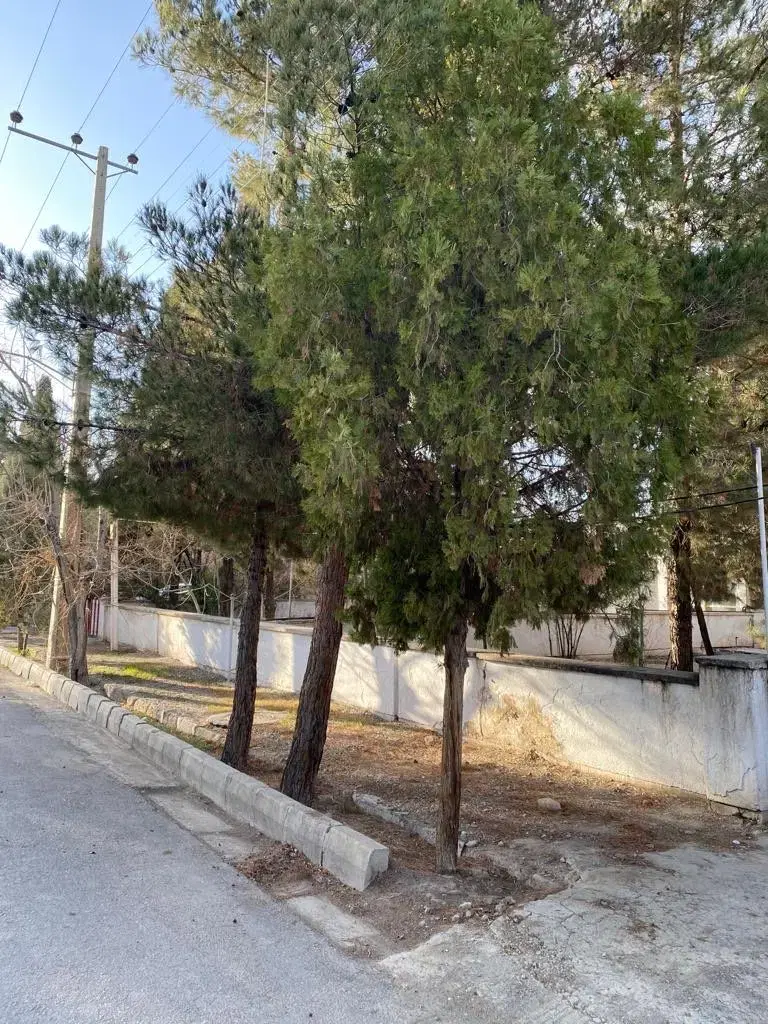 فروش ویلایی کلنگی