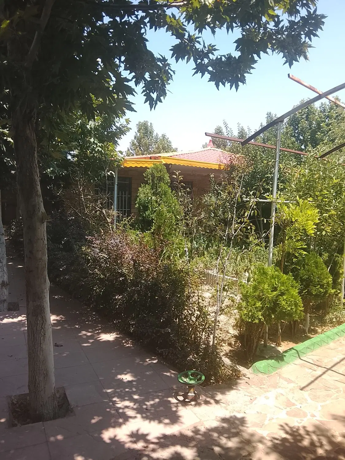 باغ ویلا