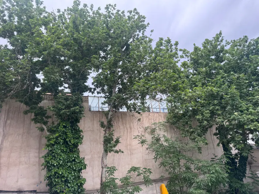 زمین سند‌دار ۱۲۰ متری توس ۶۳