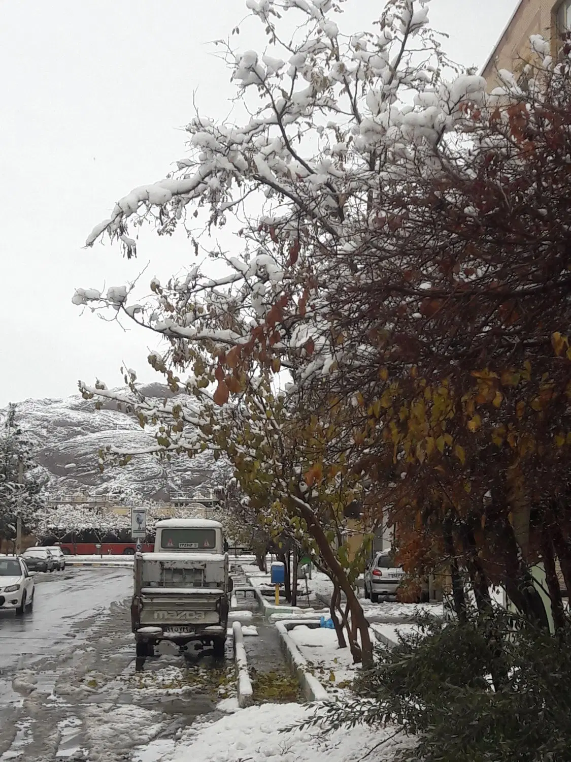 منزل مشترک همخونه