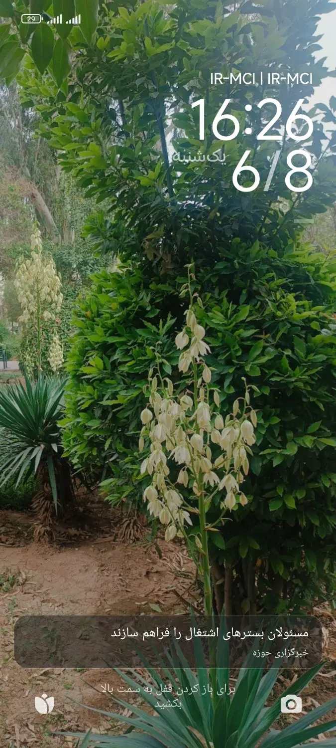 زمین مسکونی