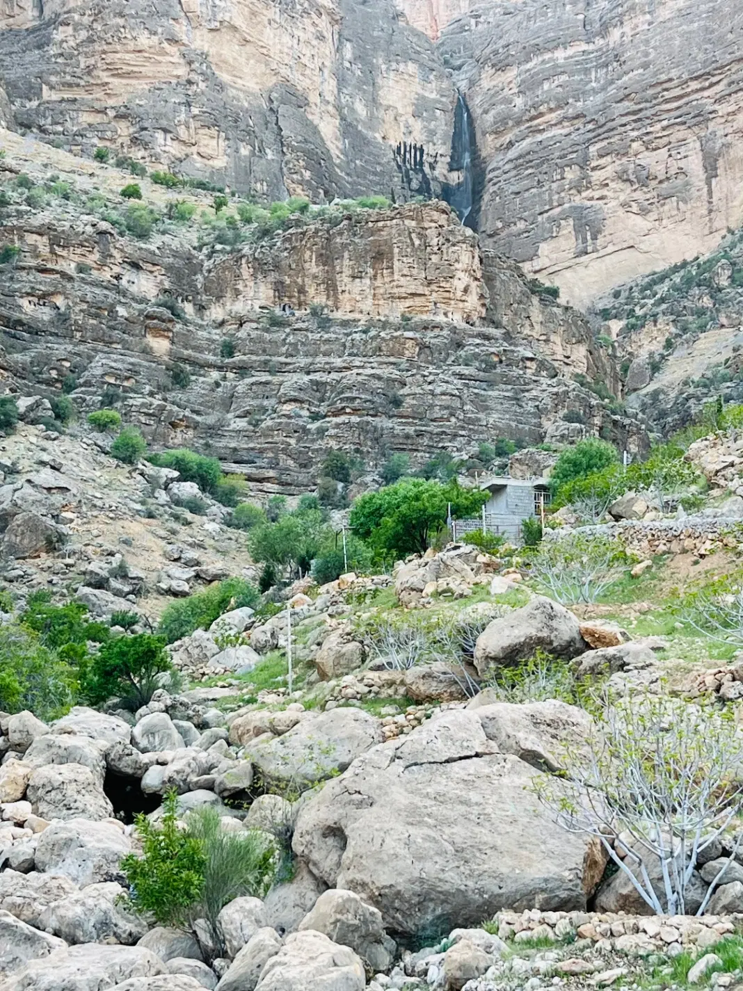 زمین کشاورزی