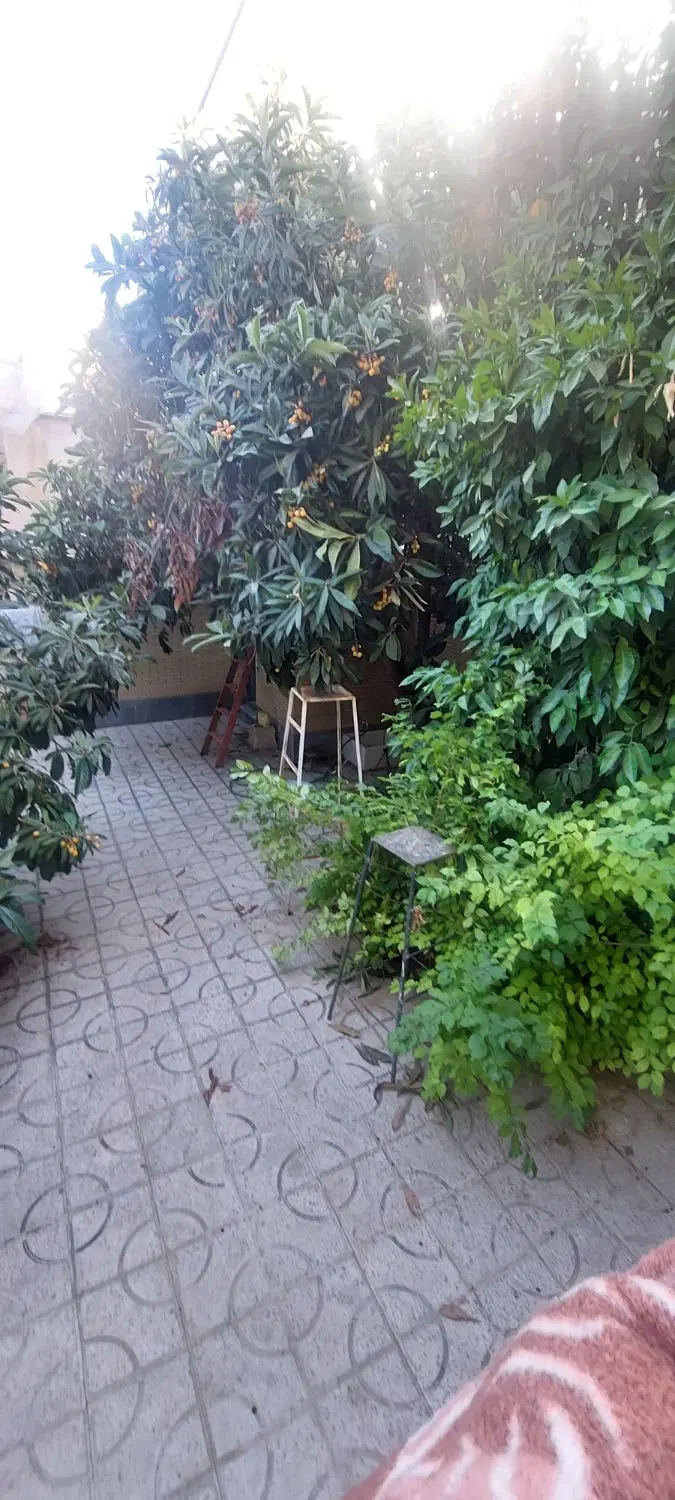 اجاره ویلایی دربست ۲ خواب ۱۱۰ متر با حیاط بزرگ