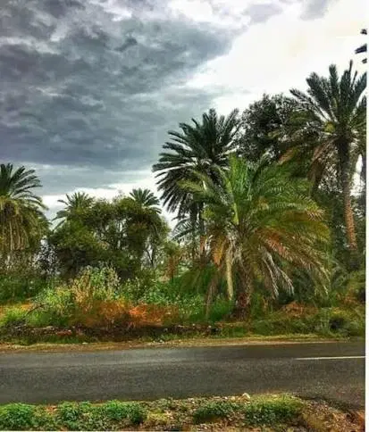 فروش یا معاوضه زمین بهمنی