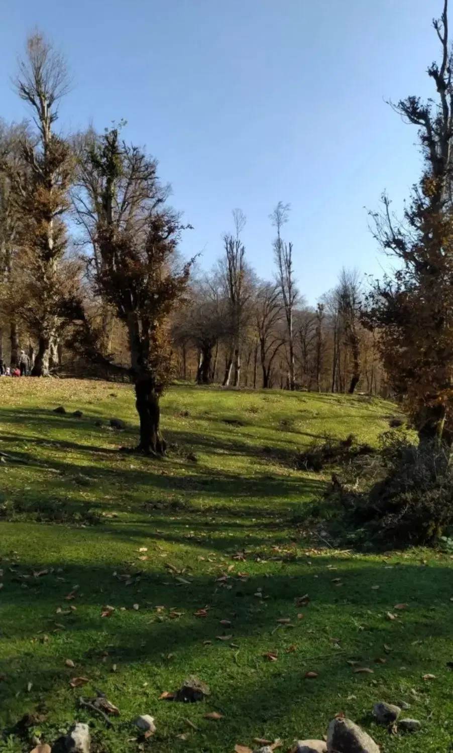 زمین مسکونی امامزاده اباذر