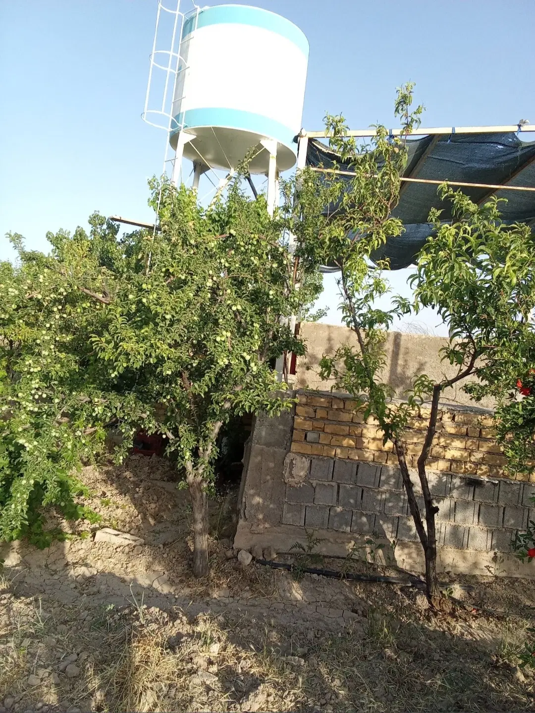 فروش باغ شهری